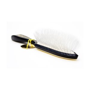 Jean-Pierre Hair Brush Triomphe Crystalline Nylon