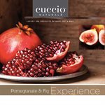 CUCCIO DRY OIL-POMEGRANATE & FIG 3.78L +