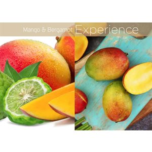 CUCCIO HUILE SÈCHE CORPS - MANGUE & BERGAMOTE 3.78L +