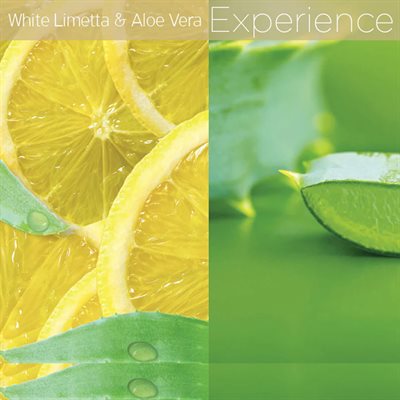 CUCCIO SCENTUAL SOAK WHITE LIMETTA & ALOE VERA 3.78L +