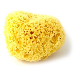 NATURAL SEA SPONGE -