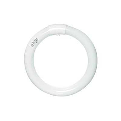 NEON LOUPE CIRCULAIRE COOL WHITE 22W pour fut64