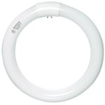 NEON LOUPE CIRCULAIRE COOL WHITE 22W pour fut64