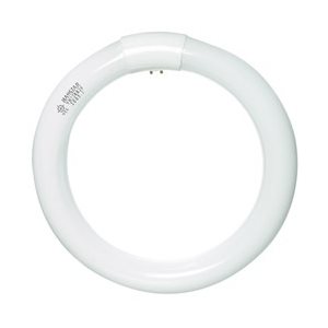 NEON LOUPE CIRCULAIRE COOL WHITE 22W pour fut64