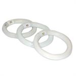 Futura Neon Loupe Circulaire Cool White 22W pour (fut63 et 85)