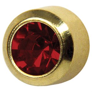 R201Y Janvier Garnet Bezel Boucles d'Oreilles Or 3mm+