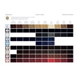 REFECTOCIL BLACK # 1