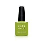 CND Shellac Gel Polish CRISP GREEN 7.3 ml #363 (Autumn Addict) -