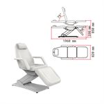 Silver ELECTRICAL FACIAL BED with 3 motors 3 Controls